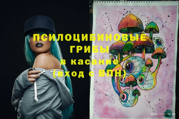 прущая мука Лабытнанги