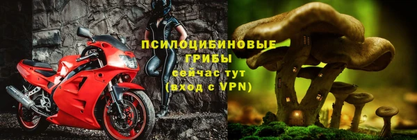 соль курить ск Ладушкин