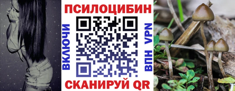 Галлюциногенные грибы Magic Shrooms  KRAKEN ссылки  Слюдянка 